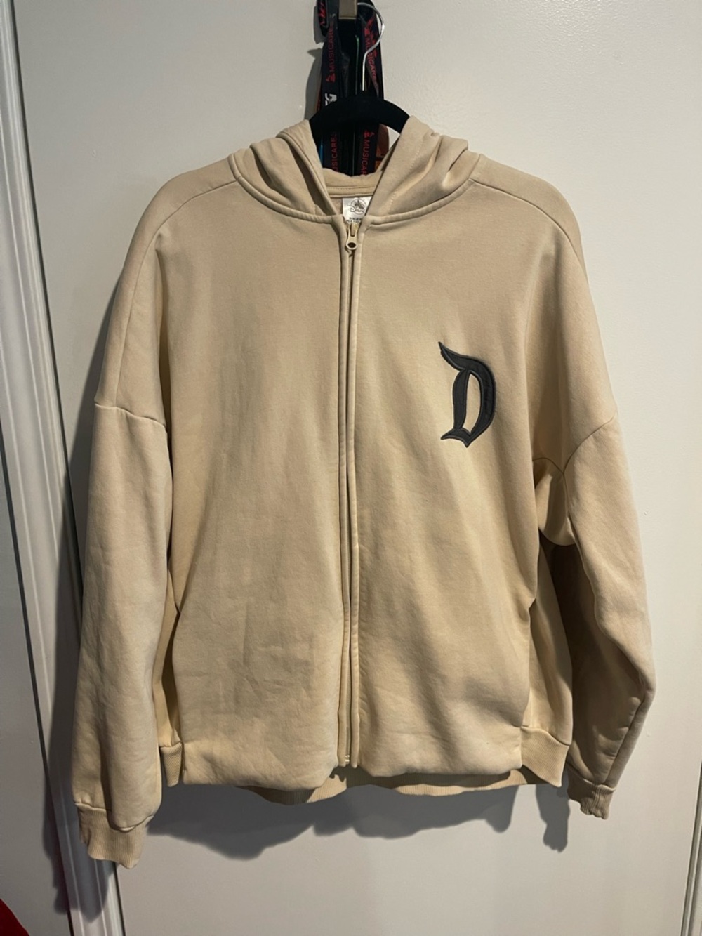 Beige Zip-Up Disneyland Hoodie